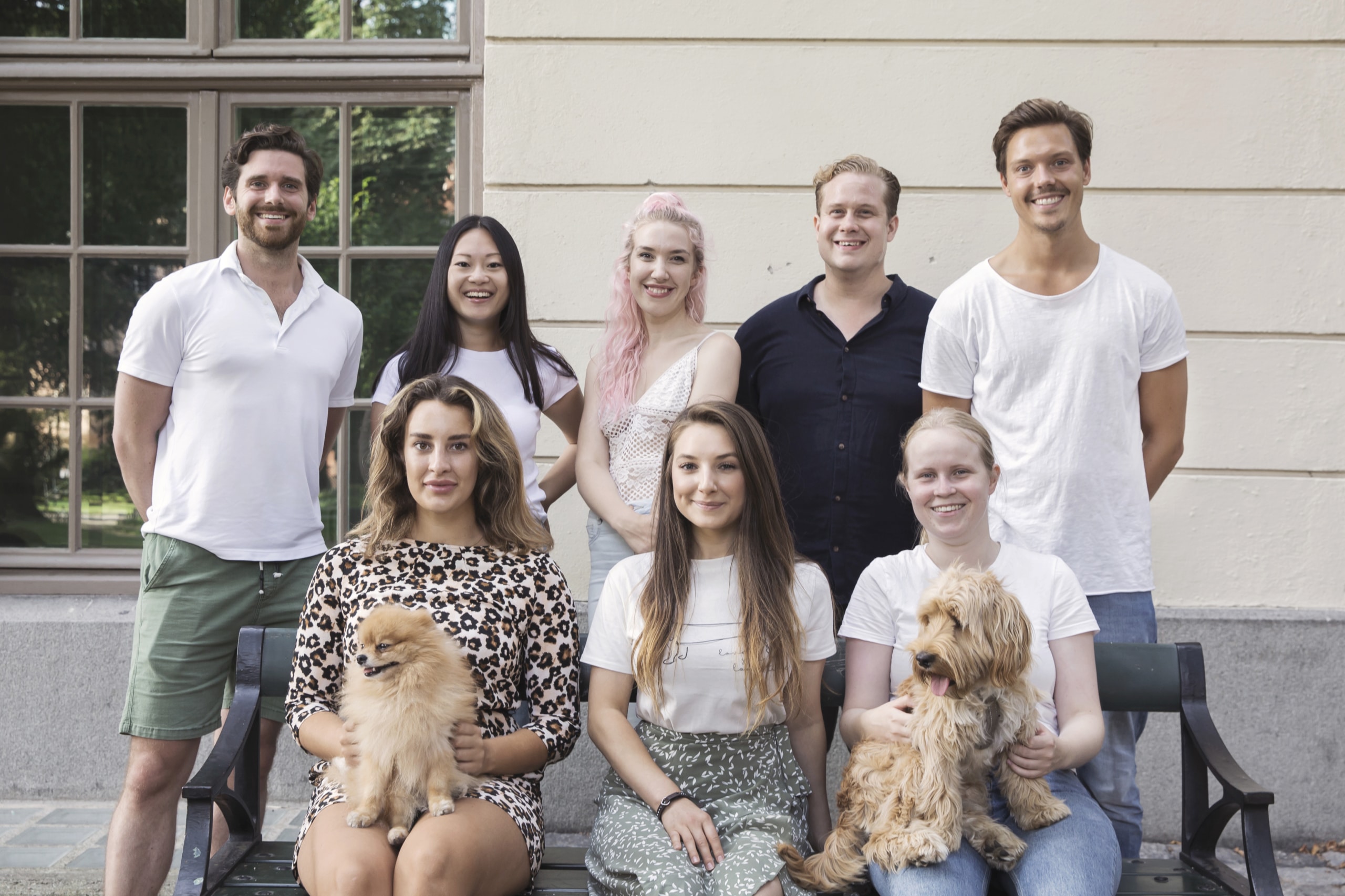 buddy pet foods_nyttig hundmat