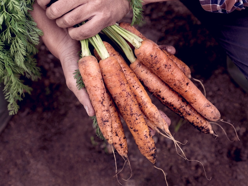 shutterstock_1728665704