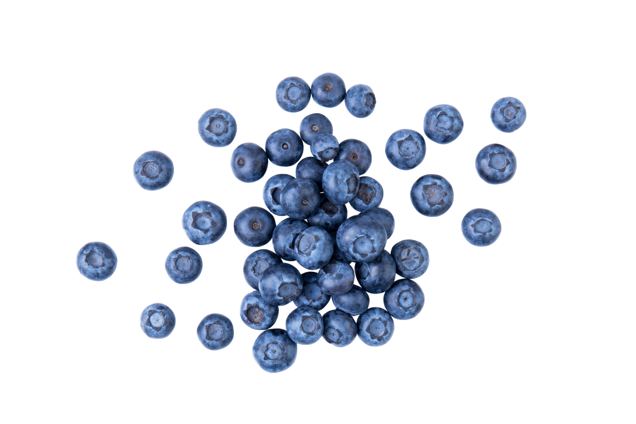 blåbär